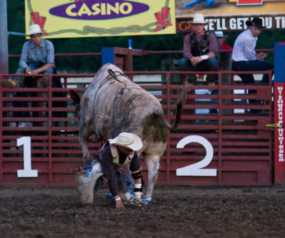 July 3 08 Vancouver Rodeo-516.jpg