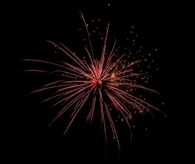 July 4 08 Family Fireworks-13.jpg