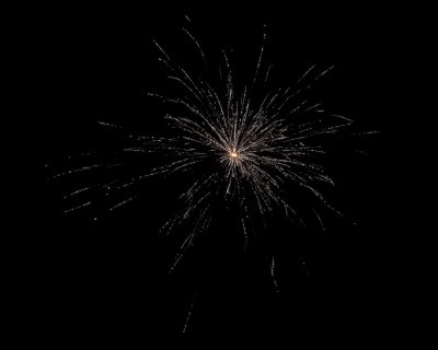 July 4 08 Family Fireworks-15.jpg