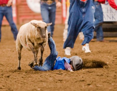 Mutton Bustin'! Kids sheep Riding, July 5 08