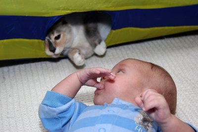 Important Lesson: Never put a bald little baby head in close proximity of a curious cat
