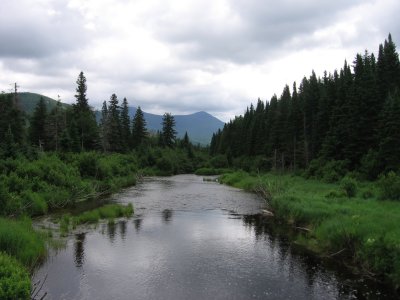 Nesowadnehunk Stream