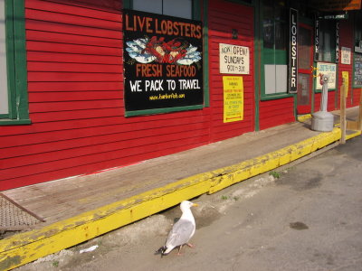 Anxious customer