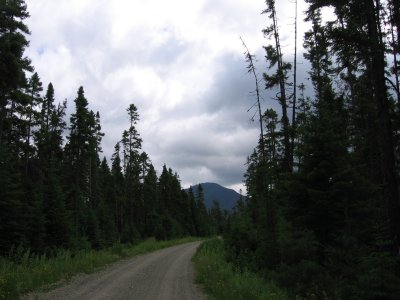 Tote Road near Burnt Mountain