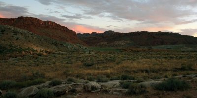 Desert Landscape