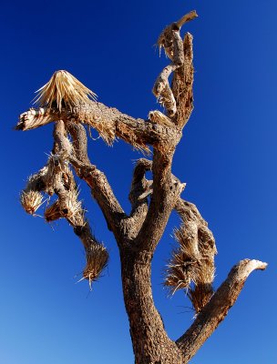 DS2_4209_023.jpg