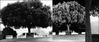 g5/11/863811/3/100970590.uJGKUufO.jpg