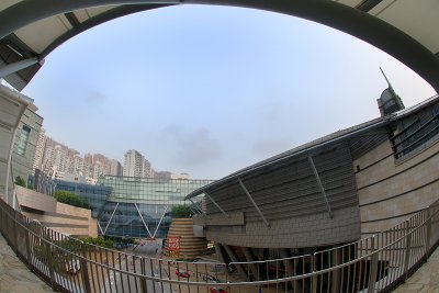DSC_9821a.jpg