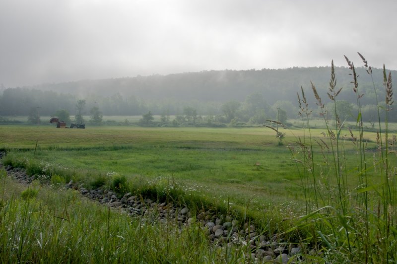 Misty farmland
