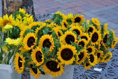 Sunflowers at the market