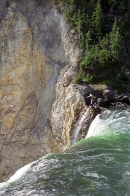 Lower yellowstone falls