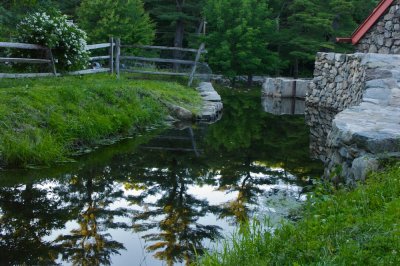 Reflected trees