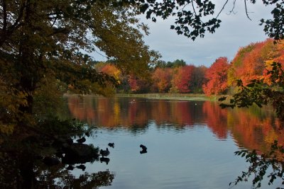 Lake reflection