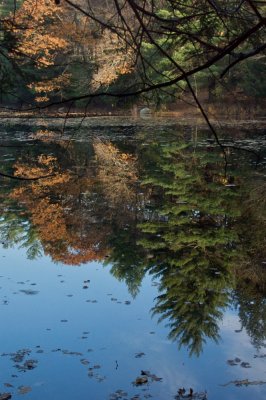 Beebe pond