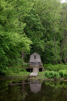 Boathouse in the woods