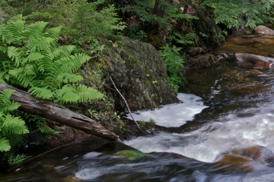 Rivers edge