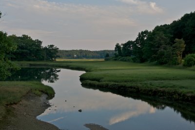 Salt marsh near the York river