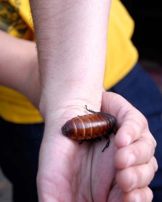 080808-6616.jpg