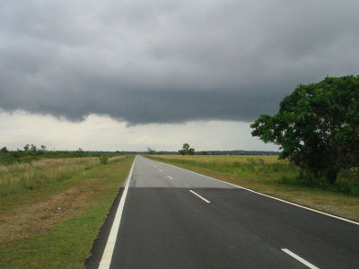 dark clouds...strong winds...bad news...