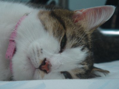 Zzzz.....