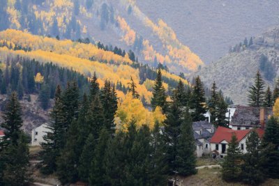 20081004-ColoAspens 036S.jpg