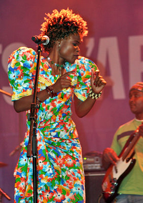 Festival international Nuit d'afrique 2008