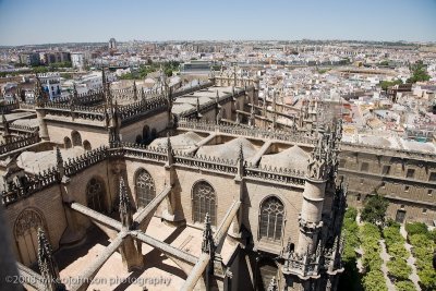 143View from the Bell Tower.jpg
