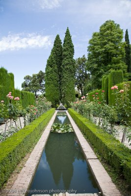 114Gardens are everywhere.jpg