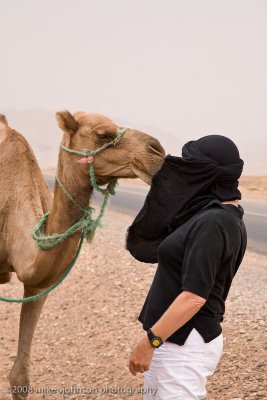116The Camel Checks Linda Out.jpg
