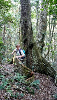 Collin Explains the Rainforest