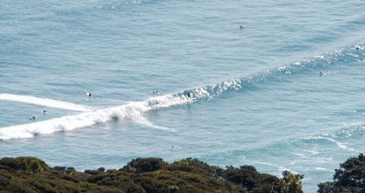 Surfers at Piha Beach