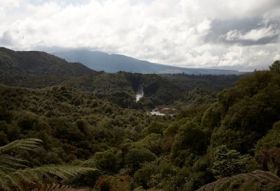 Waimangu Volcanic Valley