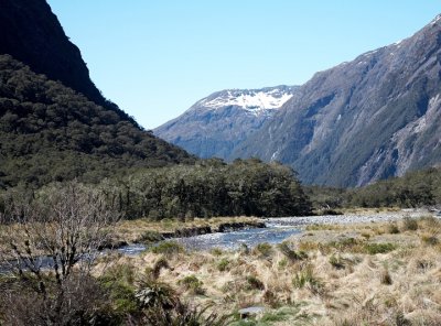 Knobs Flat