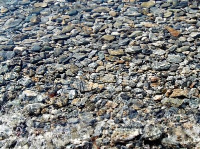 Clear water in Lake Wakatipu