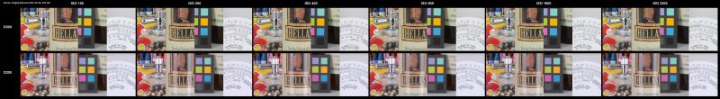D300 D200 ISO 100-3200 comparison