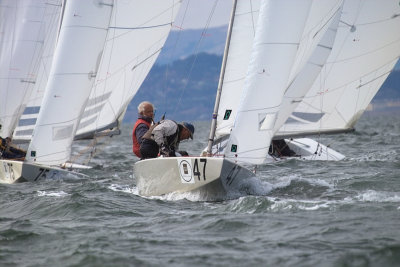 IMG02927.jpg