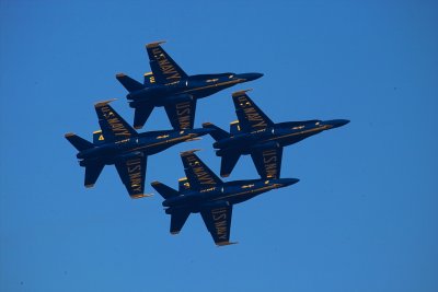 g5/12/58412/3/68302604.o546p3LA.jpg