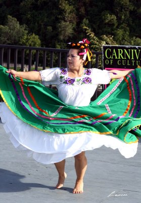 Carnival of Cultures 331