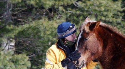 horse whisperer 2025