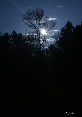 moonlight 1090 night photo