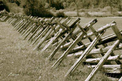 day fence 8300