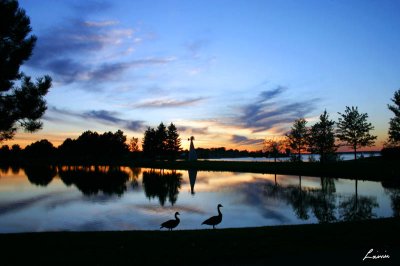 sunset in the park - Nature