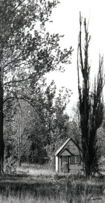 small house   B&W