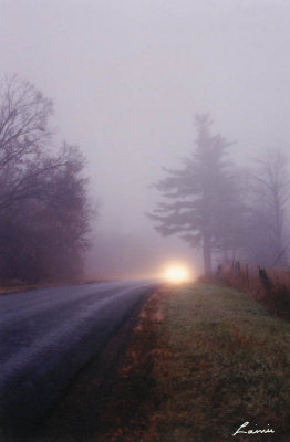 foggy car lights