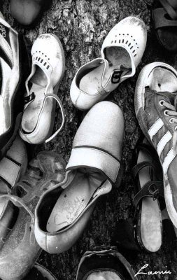 on the shoe tree    B&W