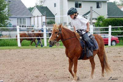 horse riding  challenge 27