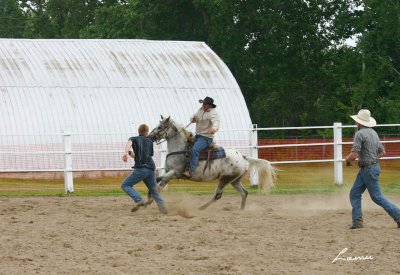 riding challenge 108