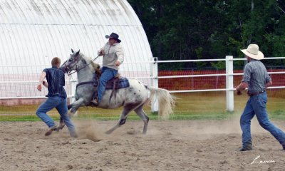 riding challenge 134