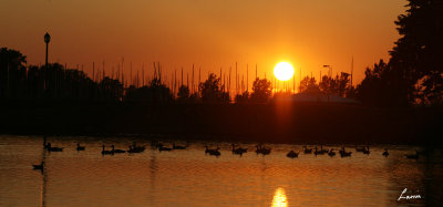 sunset