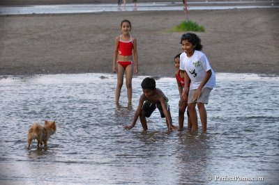 July13_08_521.JPG